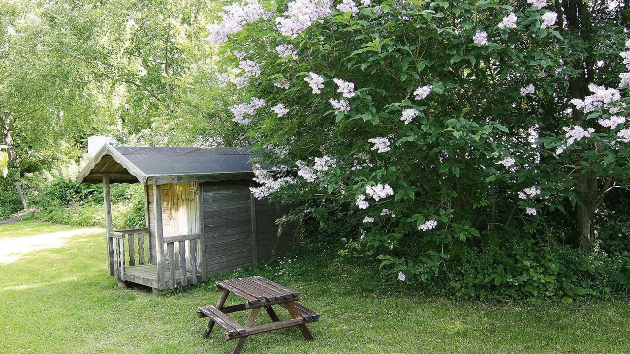 GardenSummer GardenSummer